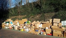 Een zeer grote verzameling oud papier en karton in de berm van een straat.